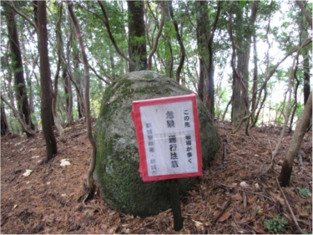 バリ分岐